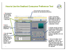 How to Use the Consumer Preference Tool No Numbers resized 179